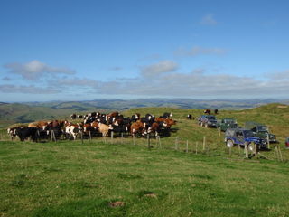 A 4WD group touring over the farm